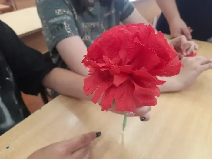 i (5)